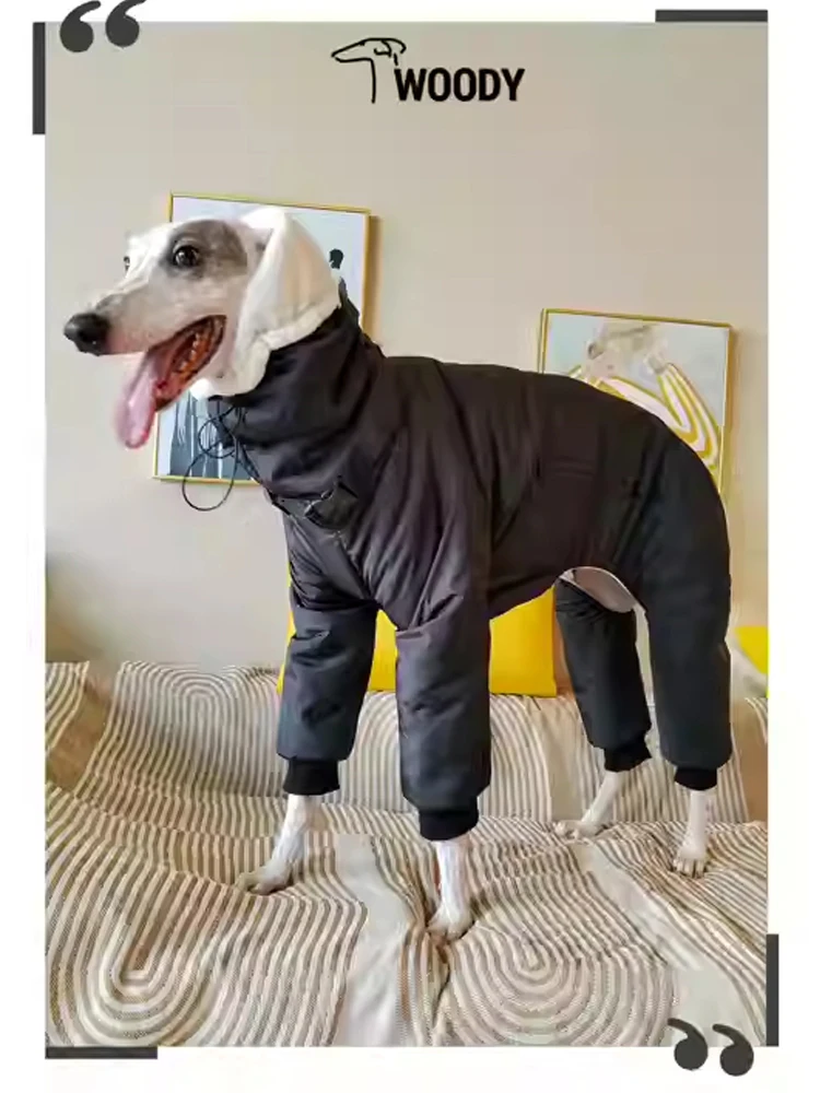 Ropa de invierno súper gruesa para perros Whippet, abrigo acolchado con cuello de tortuga para perros, Chaqueta de algodón ajustable cálida para galgo italiano - imagen 4