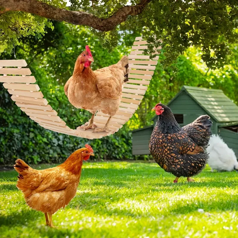 Juguete de pollo de madera Natural, escalera grande para columpio de pájaro, soporte de madera, percha colgante para aves de corral, gallo, gallina, loro, guacamayo, gallinero, decoración