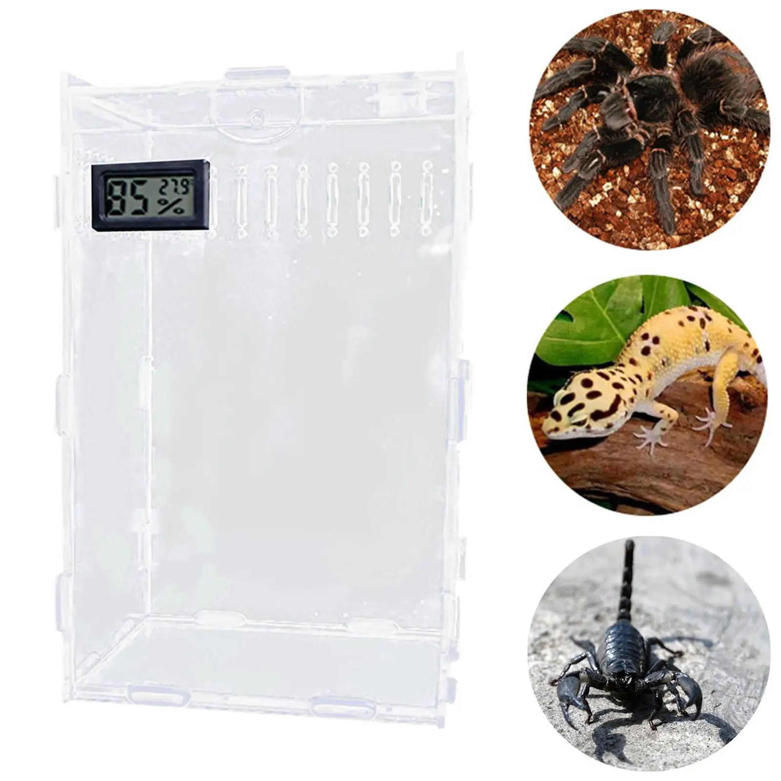 Acrylic Jumping Spider Enclosure Container Spider Tank Reptile Terrarium Tarantula Cage for Arboreal Animal Hermit Crab Beetle Acrylic Jumping Spider Enclosure Container Spider Tank Reptile Terrarium Tarantula Cage for Arboreal Animal Hermit Crab Beetle