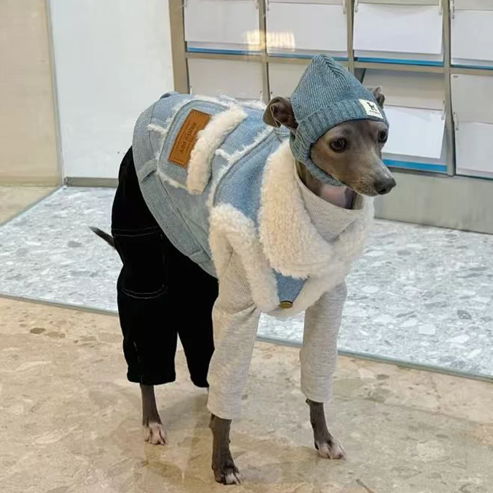 Chaqueta vaquera para Galgo italiano y Whippet – Abrigo invernal - imagen 2