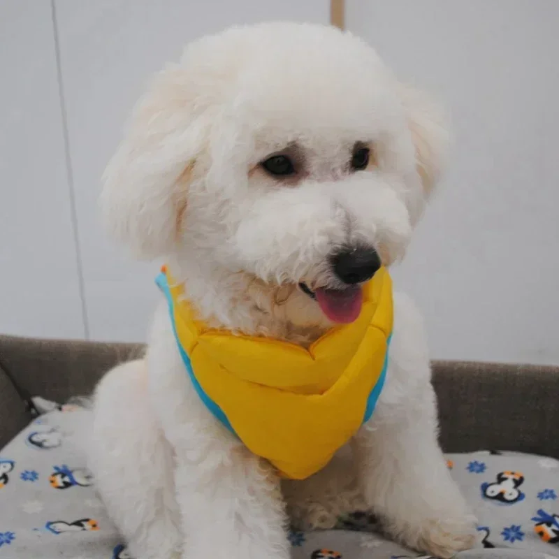 Ropa cálida de invierno para perros pequeños, chaqueta impermeable para mascotas, trajes para cachorros y gatos, abrigo Yorkie, ropa para Chihuahua, disfraz de Bulldog - imagen 5