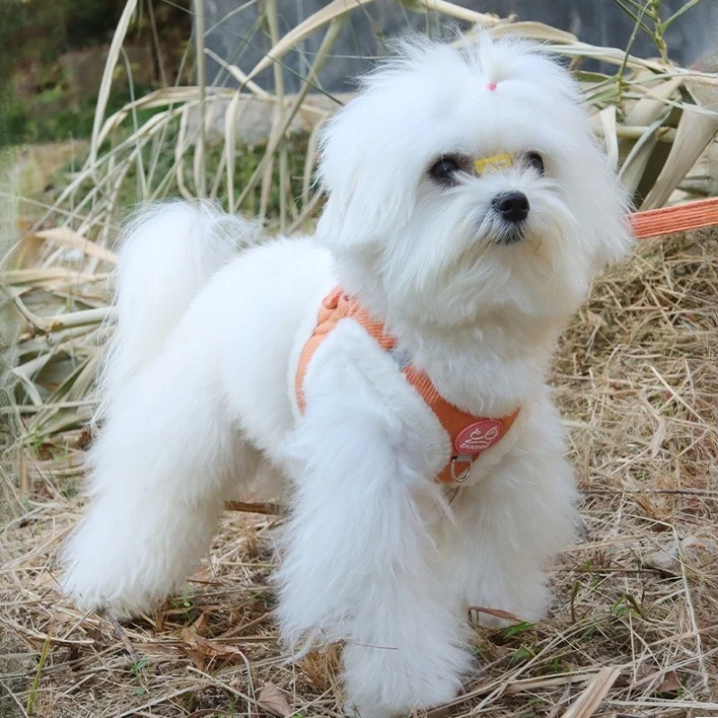 Conjunto de arnés y correa de piel de conejo, chaleco reflectante de felpa cálido para mascotas para perros pequeños y gatos, arnés cómodo ajustable - imagen 5