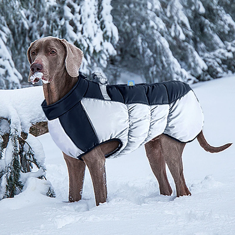 Abrigo cálido de invierno para mascotas, chaqueta impermeable para perros medianos y grandes, ropa reflectante de felpa gruesa, accesorios para perros - imagen 2