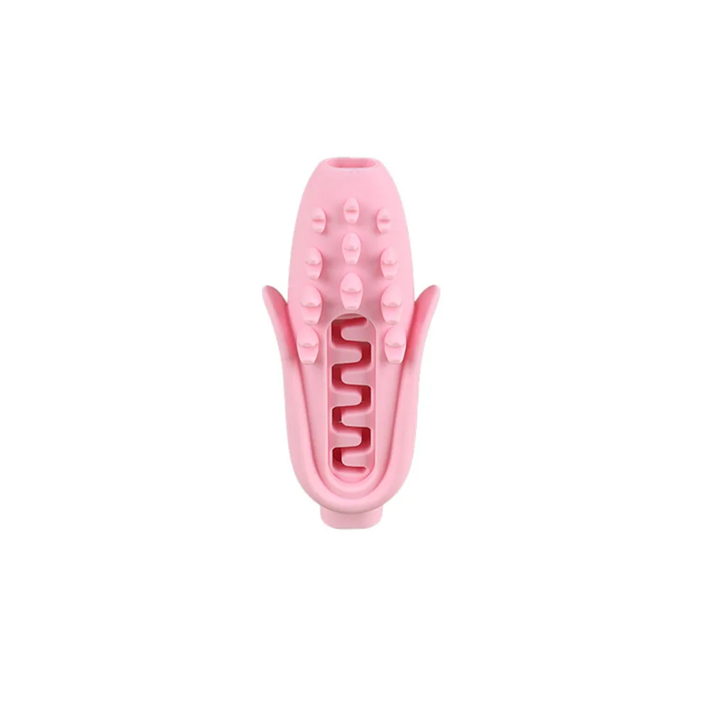 Juguete para limpiar los dientes con palo para masticar para perros, juguete molar autojuego para mascotas, juguete para masticar duradero no tóxico para aliviar el aburrimiento, - imagen 2