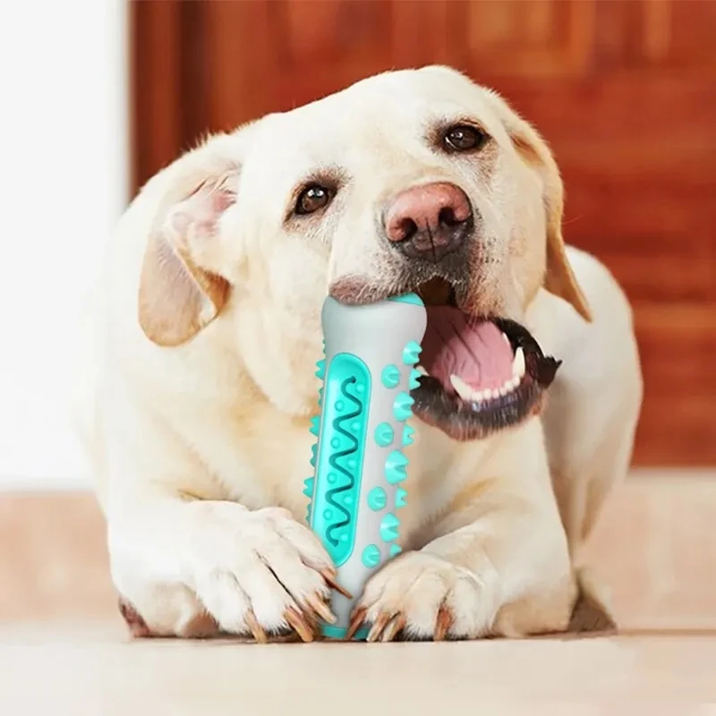 Juguete de dentición masticable para perros, cepillo de dientes TPR seguro, cuidado Dental, suministros de juguetes de limpieza - imagen 3