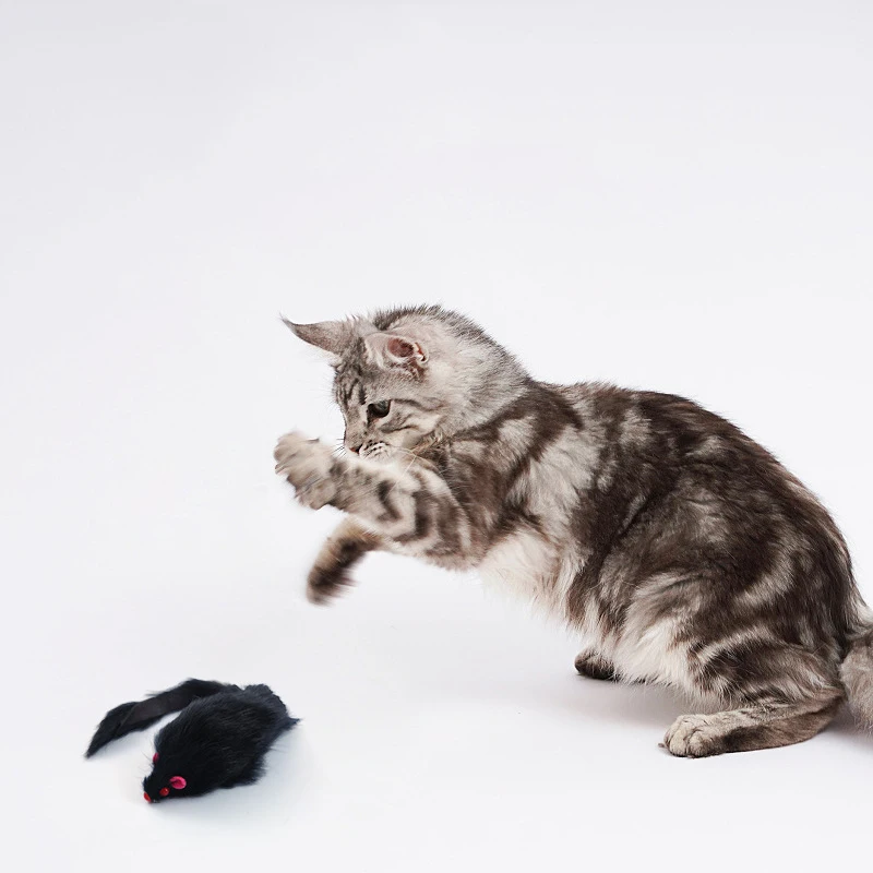 5/10 Uds. Ratón falso de juguete para gatos, ratones de cola de pelo largo con sonido, juguetes de ratón suave de felpa para gatos, juguetes para jugar al gatito resistentes a mordeduras - imagen 4