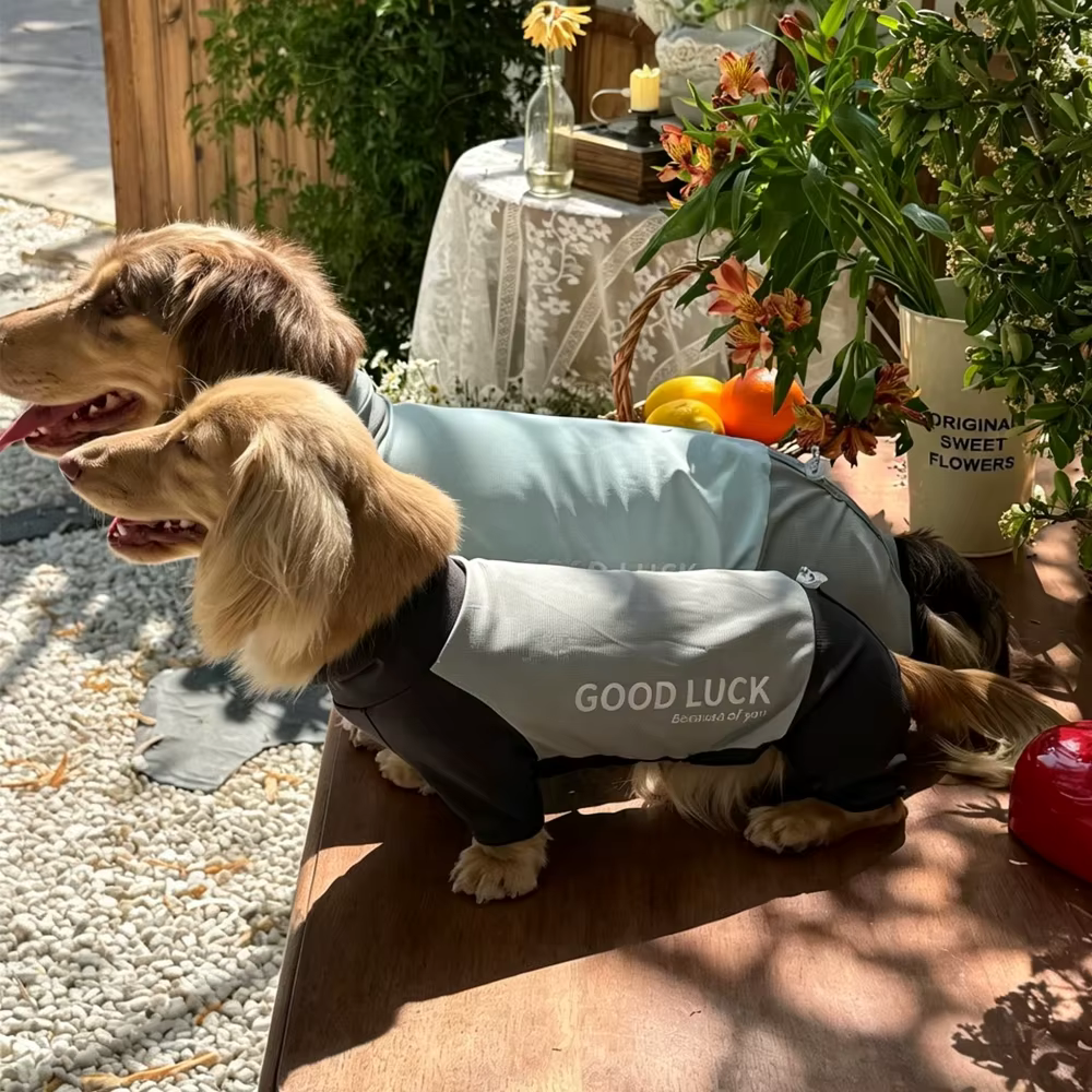 Camiseta transpirable para perro salchicha con espalda ajustable - imagen 2