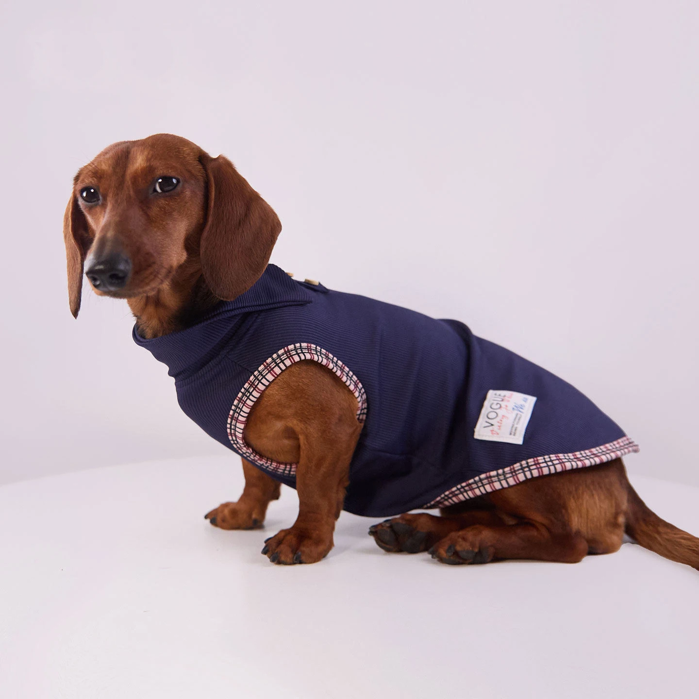 Vestido azul para perro salchicha – Colección preppy