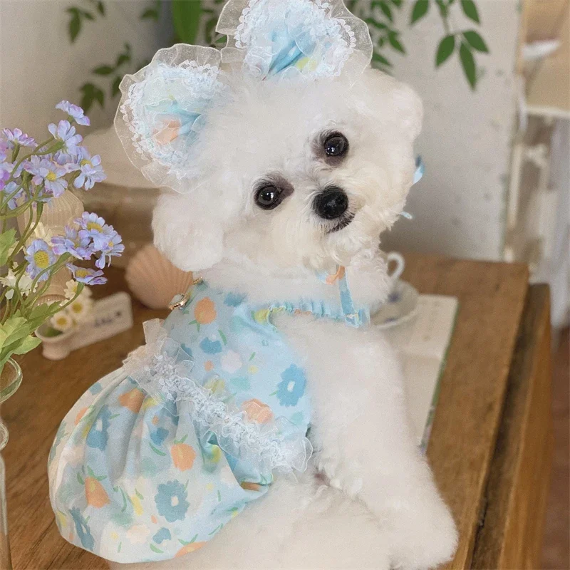 Ropa de encaje azul para perros, vestido azul con estampado Floral, vestido de lujo con botones de perlas y tocado para perros pequeños, ropa para cachorros
