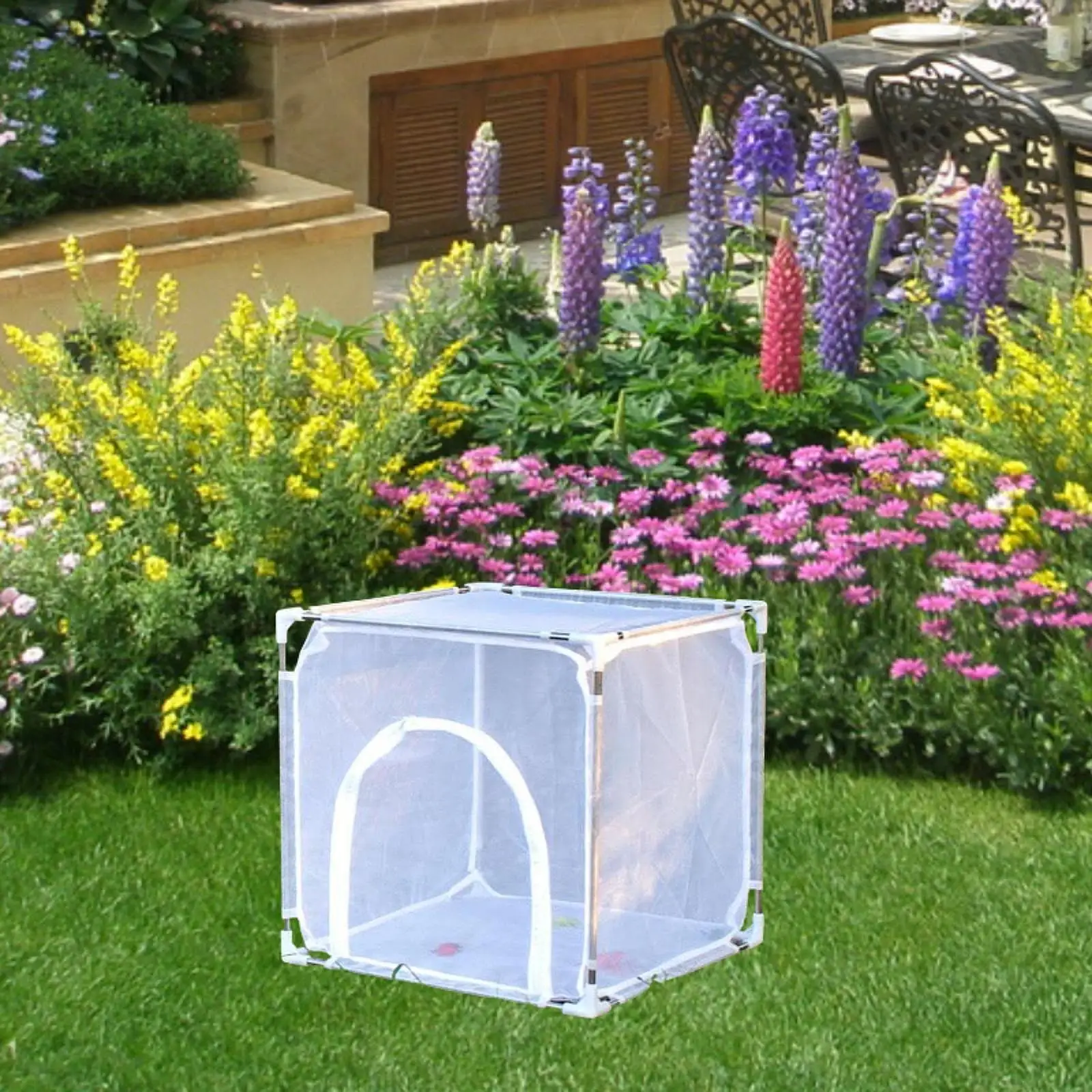 Butterfly Habitat Cage Freestanding Insect Rearing Cage for Garden Farm Yard