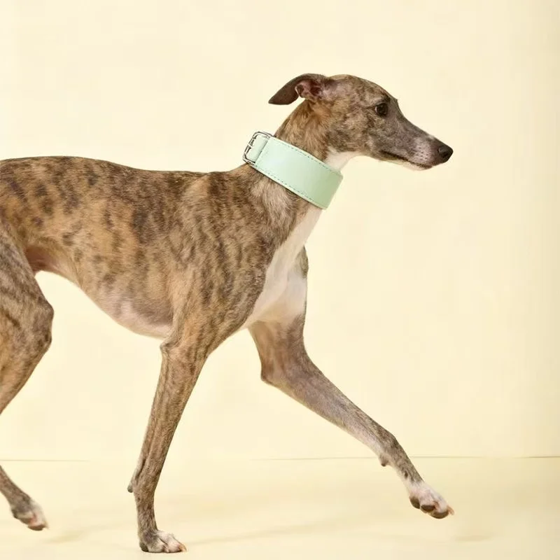 Collar ancho de cuero para perros pequeños, medianos y grandes, Collar envolvente para galgo italiano, accesorios para mascotas Whippet - imagen 3