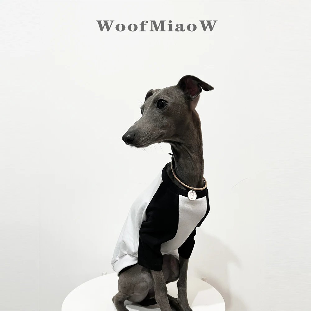 Ropa de galgo italiano, camiseta con hombros descubiertos y estampado de colores a la moda, ropa suave y cómoda para perros, ropa para perros de dos patas para primavera y verano - imagen 5