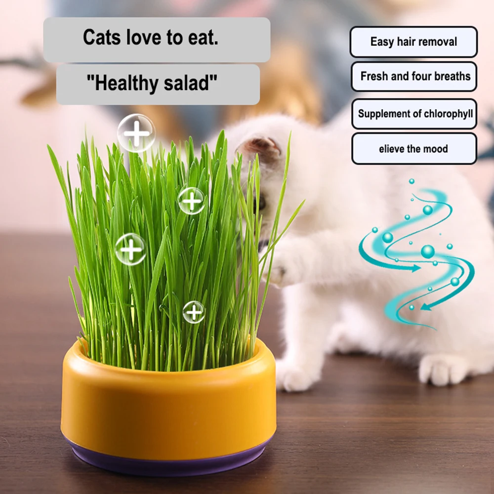 Crece la hierba de tu gato con este Kit de plantador hidropónico reutilizable, macetas hortícolas, bolsas de cultivo para plantar - imagen 3