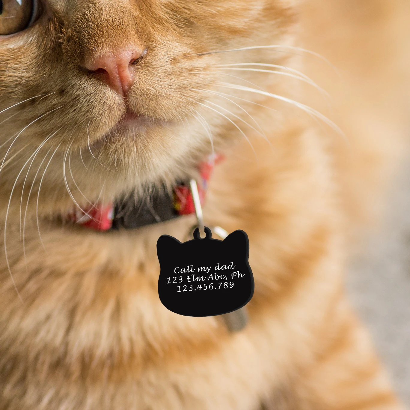 Etiqueta personalizada para mascotas con forma de gato, múltiples opciones de fuentes, colgante de Collar, suministros de Collar personalizados para mascotas, accesorios antipérdida - imagen 3