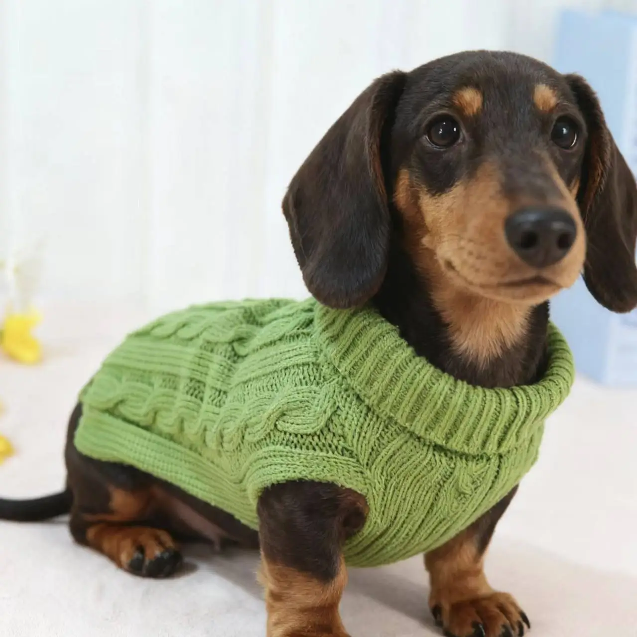 Chaleco de punto invierno para perros pequeños y Dachshund - imagen 3