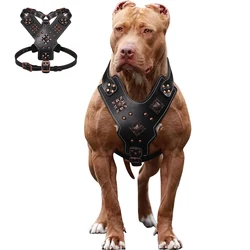 Arnés de cuero para perros medianos y grandes – Resistente con refuerzos metálicos