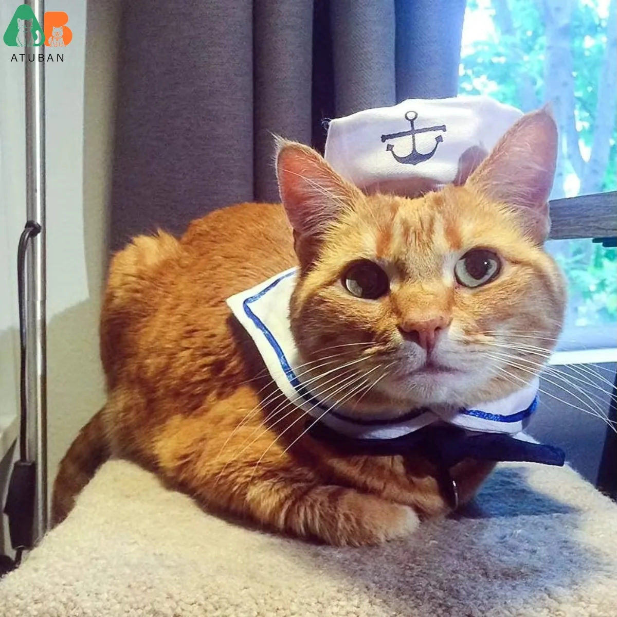ATUBAN Disfraz de marinero para mascotas para gatos, perros pequeños, sombrero de marinero para gatos de Halloween con cuello de corbata, traje azul marino para cachorros, ropa de Cosplay - imagen 4