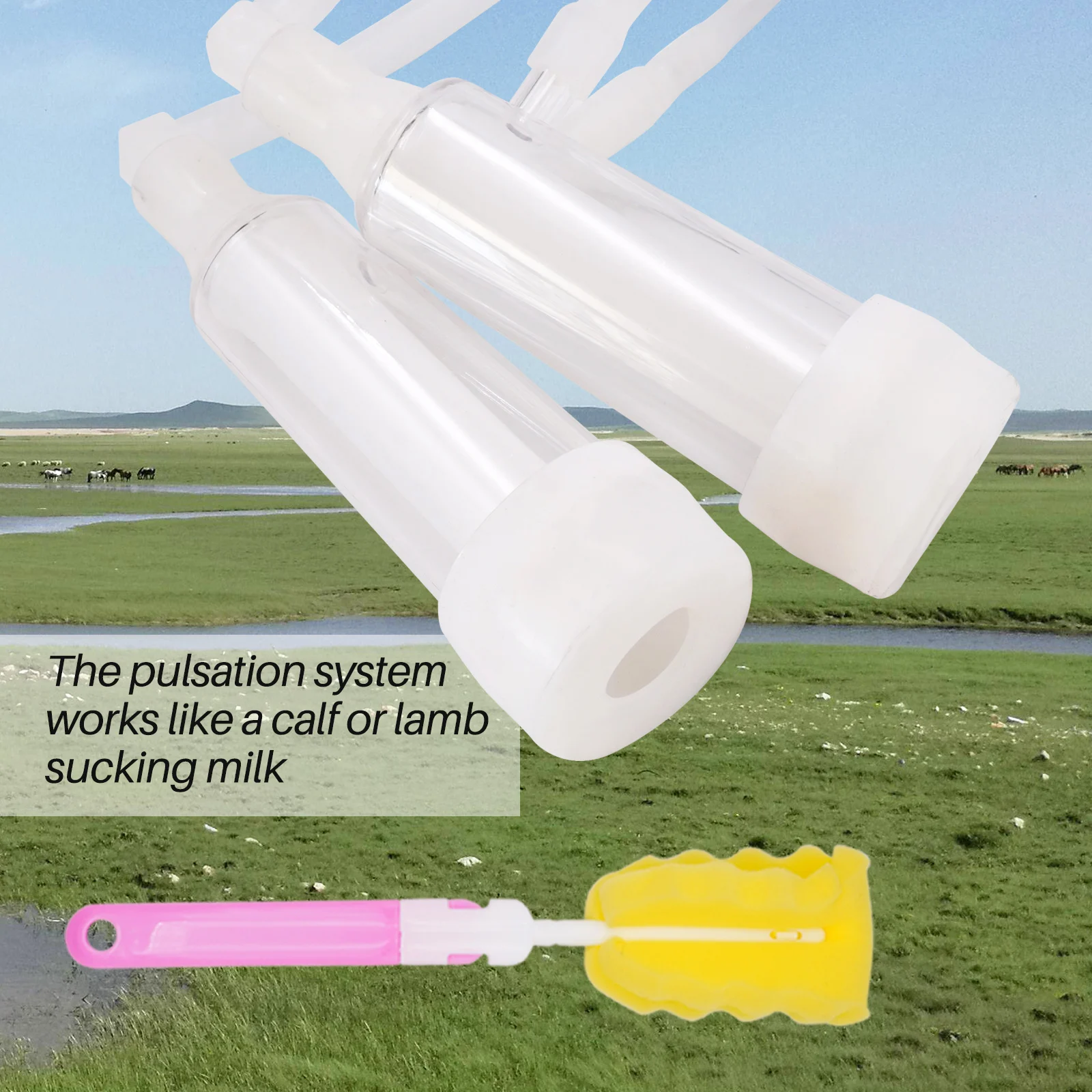 Ordeñadora eléctrica 10L para vacas y ovejas – Bomba de vacío 220V en acero - imagen 3