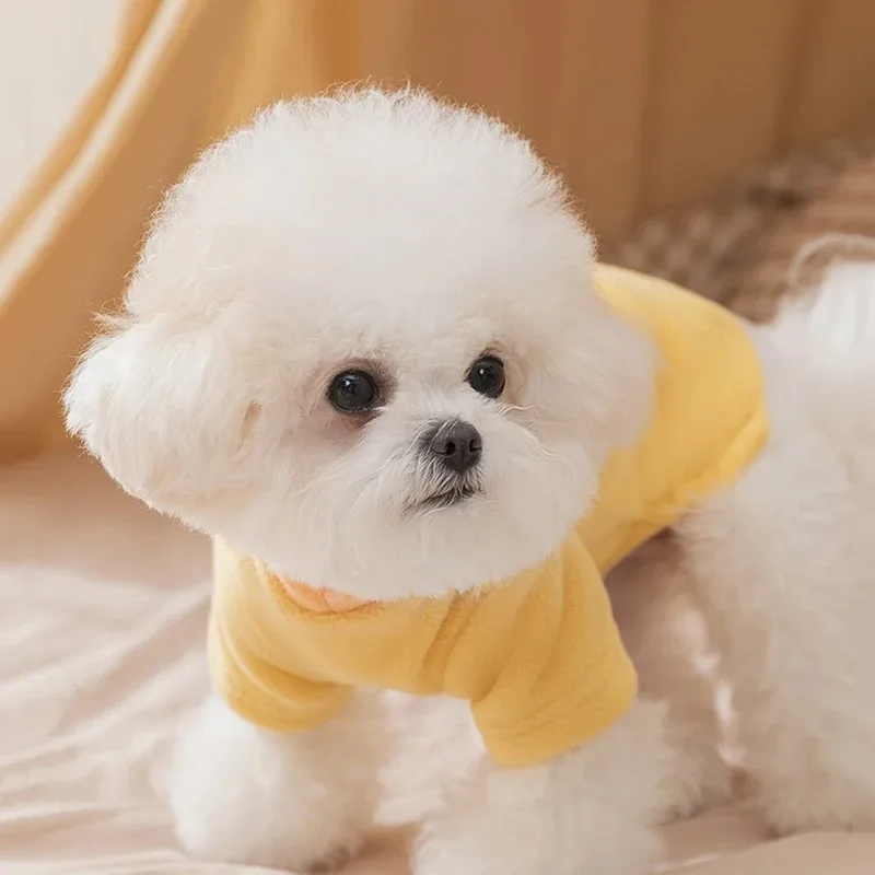 Ropa bonita para mascotas, ropa para perros con orejas, sudadera de otoño Schnauzer, Sudadera con capucha de dibujos animados para perros pequeños, camisa cálida para perros, productos para cachorros - imagen 2