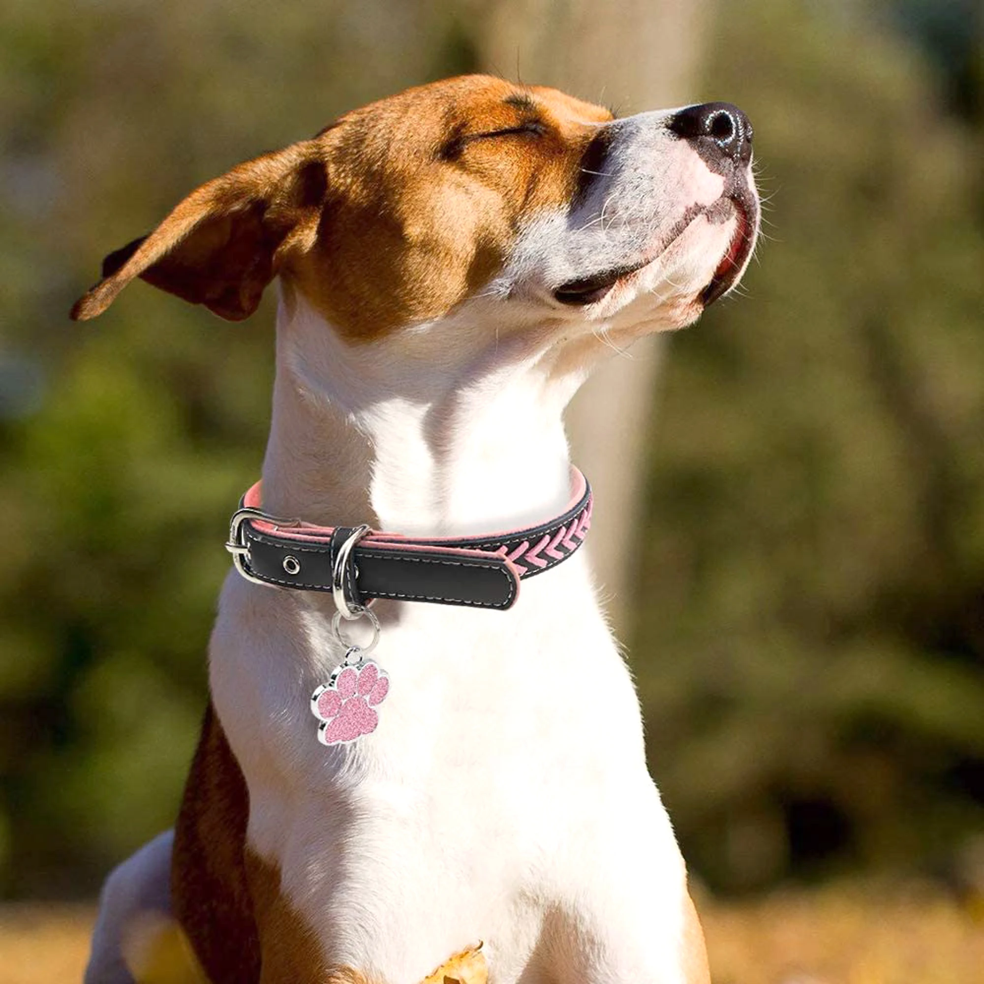 Etiqueta anti-perdida con huella de pata para gatos y perros - imagen 5