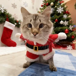 Disfraz navideño para gato pequeño y mediano traje Papá Noel