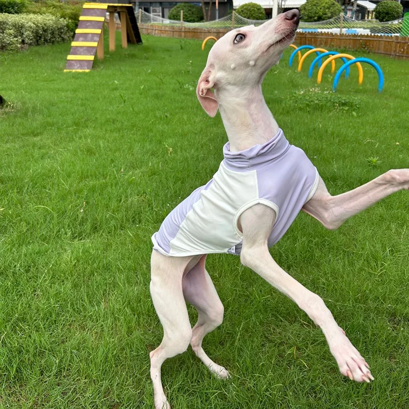 Mono de galgo italiano UPF50 +, ropa refrescante para perros a prueba de sol, primavera y verano, para perros pequeños Whipbit Terrier