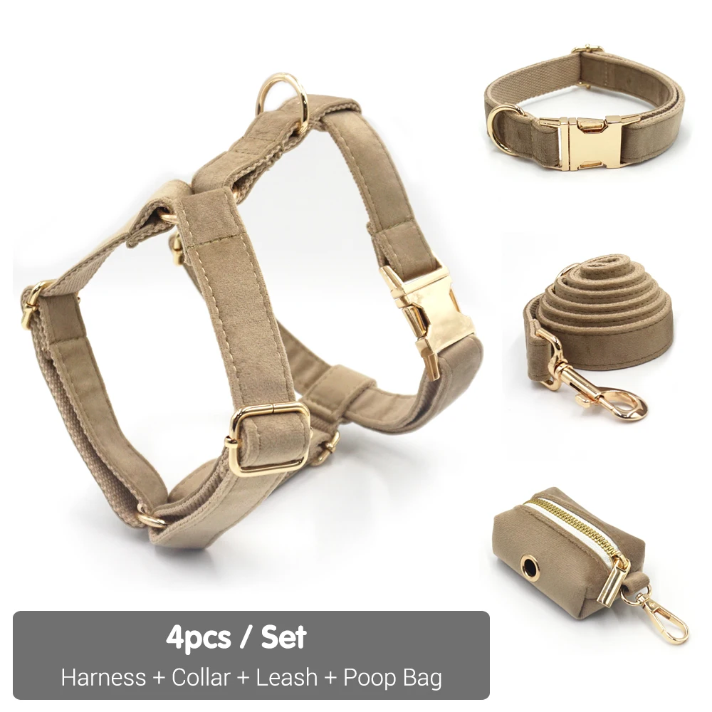 Harness Collar Set