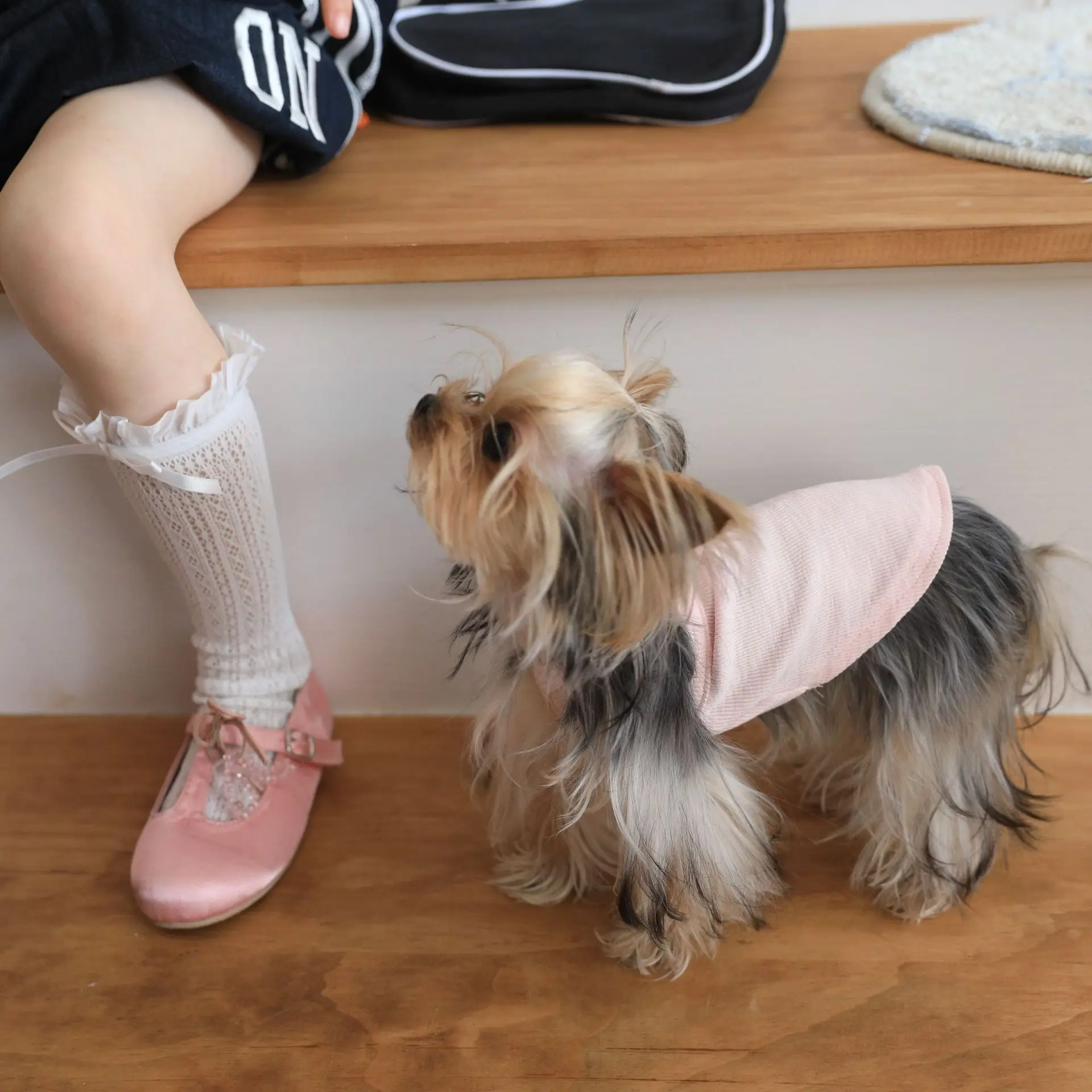 Pet primavera amor correa pequeña primavera colgante cuello chaleco pequeño perro gato Teddy Top ropa para perros para ropa de cachorro - imagen 4