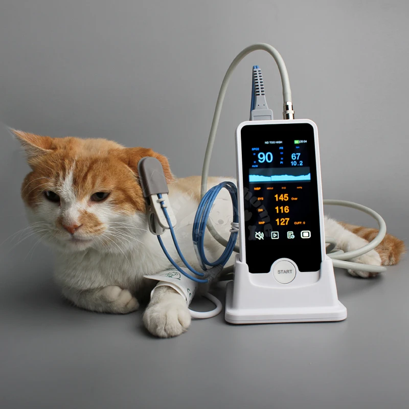 Monitor cardíaco portátil NIBP y SPO2 para perros y gatos - imagen 2