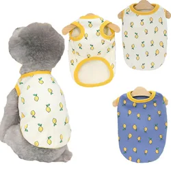 Disfraz de limón para perro – Ropa de Halloween divertida