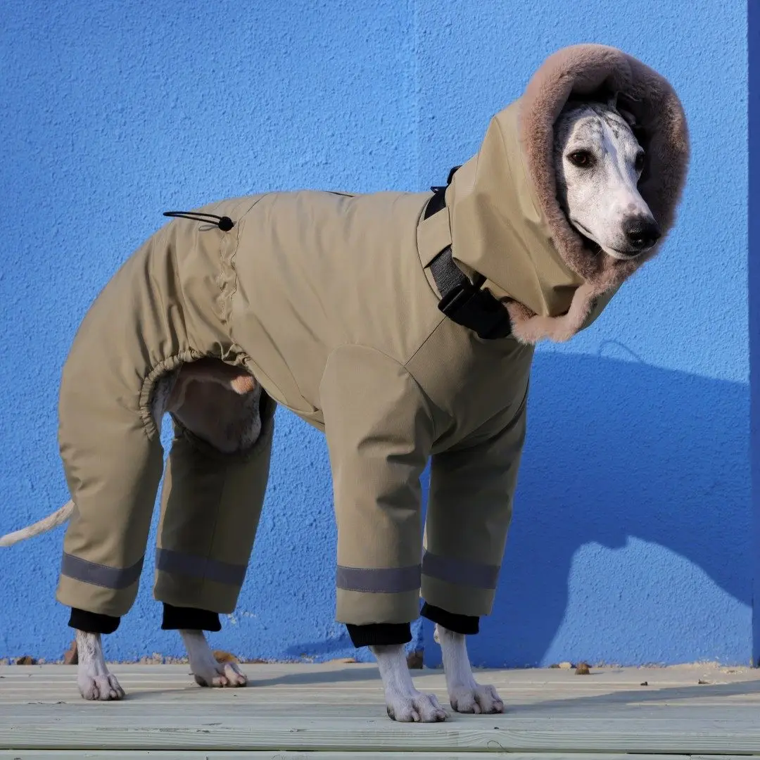 Chaqueta térmica para galgos y whippets – Forro polar verde cortavientos - imagen 2