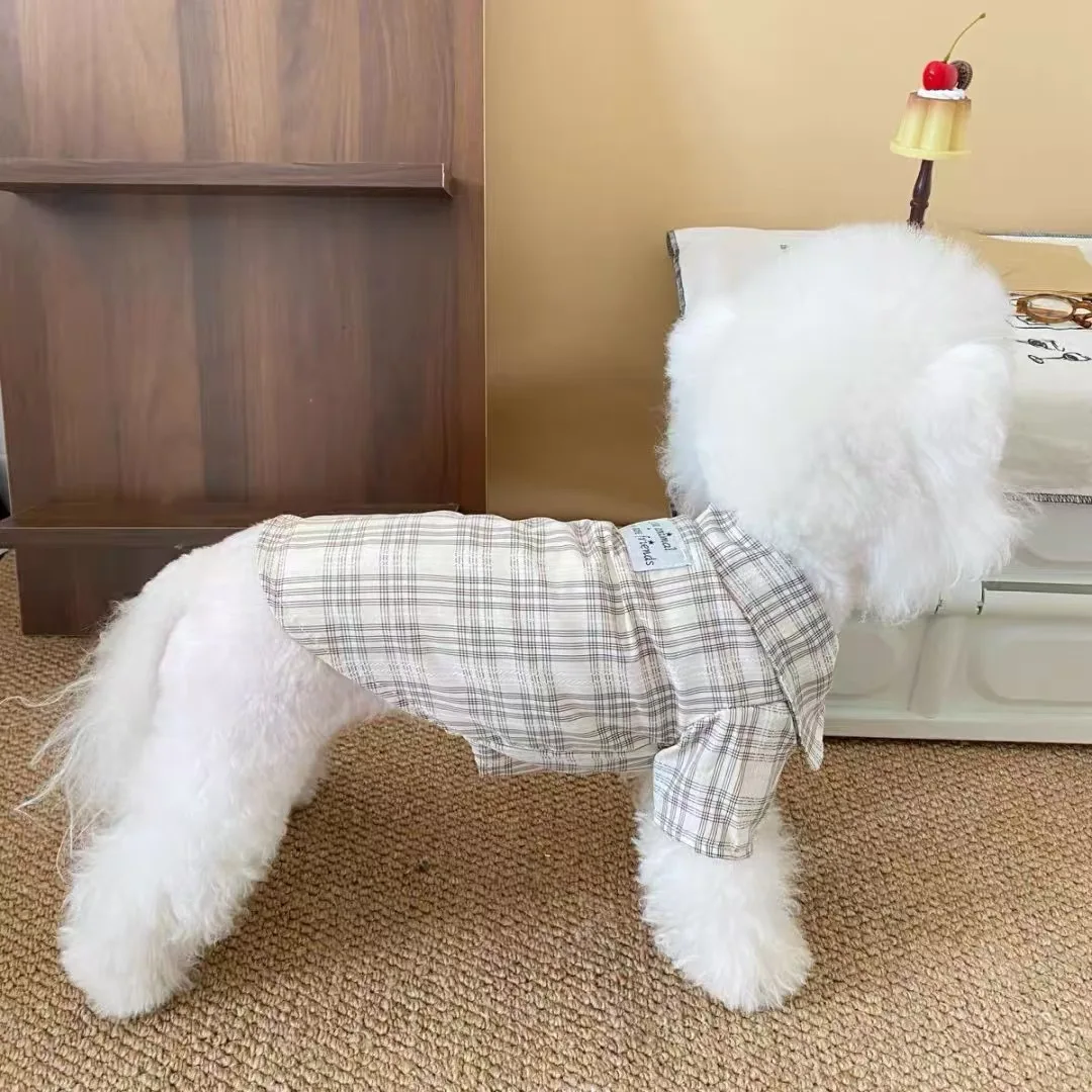 Nueva ropa para perros, falda de encaje, camisa, ropa para caminar al aire libre para perros, camisa de verano, falda para perros de diseño a la moda - imagen 5