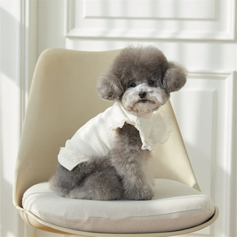 Camisa inferior de manga voladora de encaje para primavera para mascotas, camiseta sin mangas colorida bonita, camiseta inferior de peluche para mascotas, camiseta para gatos, ropa para cachorros - imagen 3