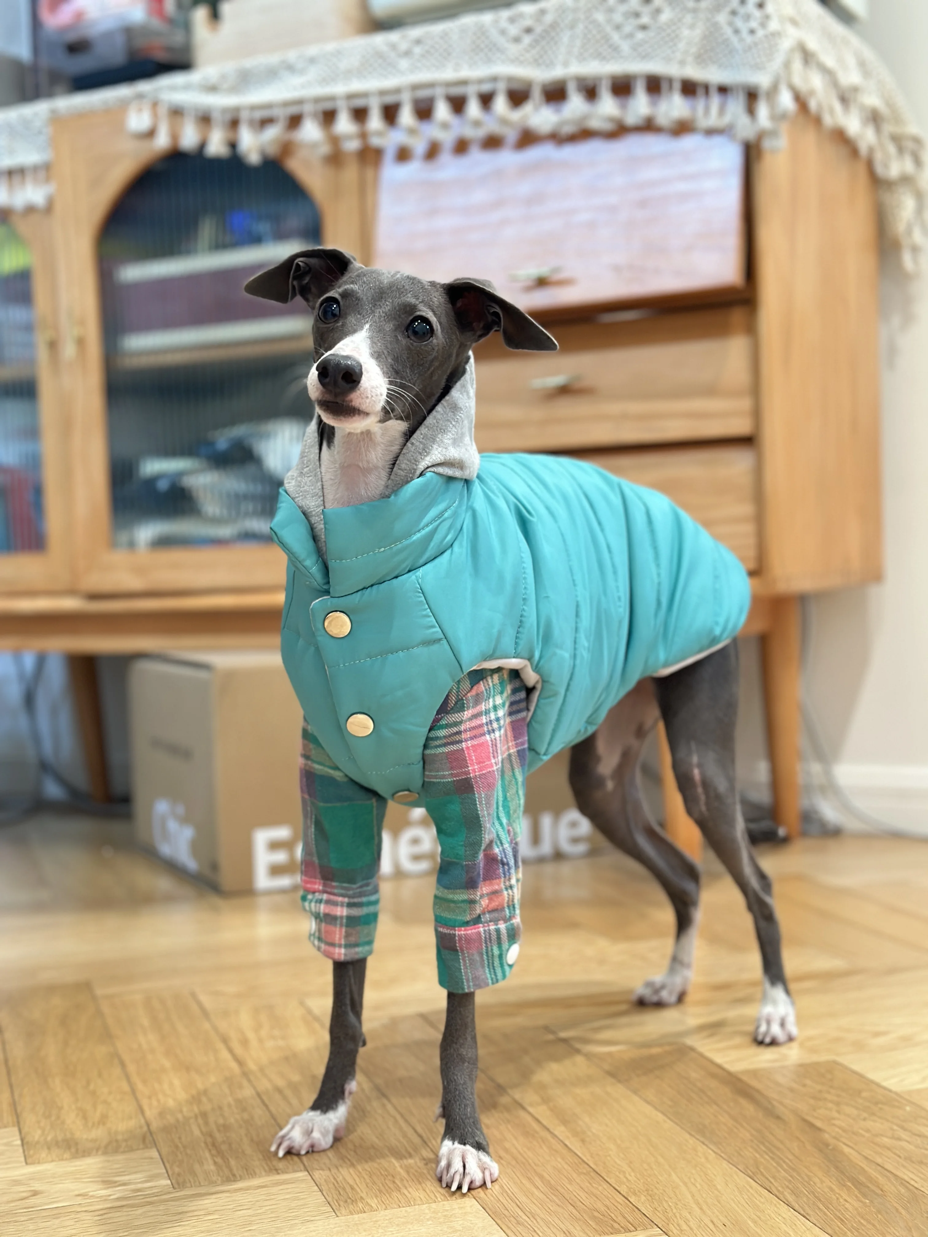 Chaqueta Iggy de moda con cremallera, abrigo cálido para perro galgo para Whippet, chaqueta azul a prueba de viento para Terrier sin aire en invierno - imagen 4