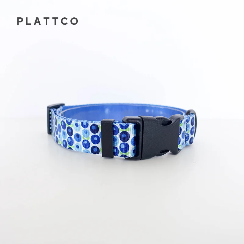 PLATTCO-collar de nailon con pajarita para perro, conjunto de correa BLUE BERRY BOX, collar personalizado con hebilla de seguridad para pequeños, medianos y grandes PDC328