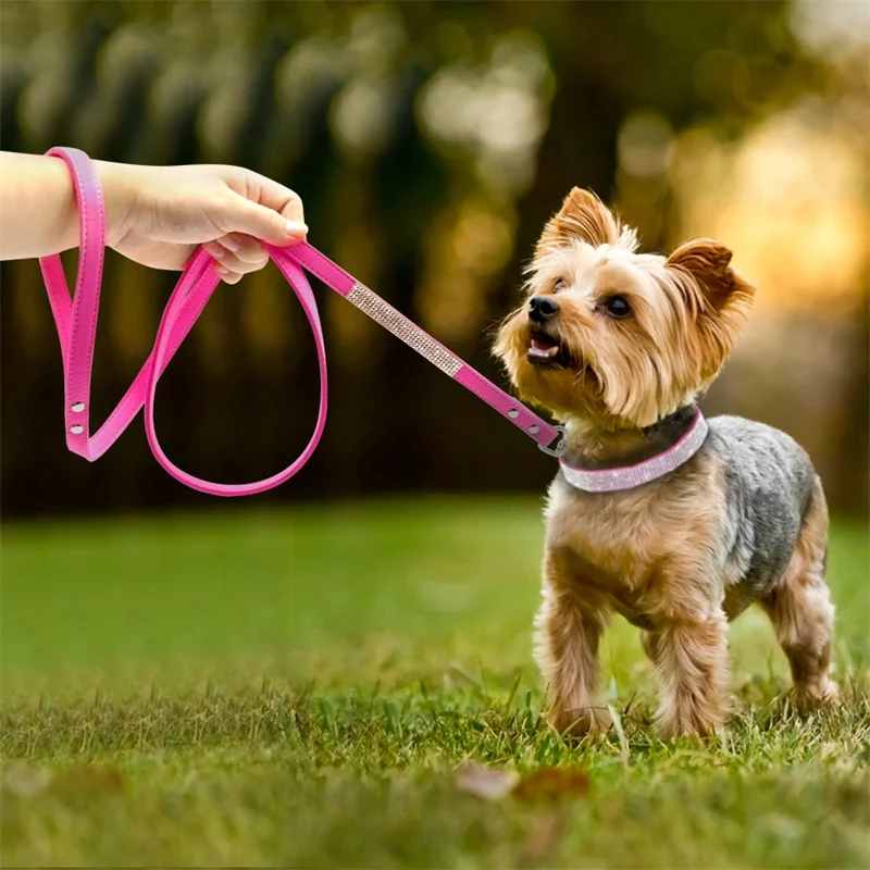 Correa con diamantes para perros y gatos – paseo cómodo 120 cm - imagen 2