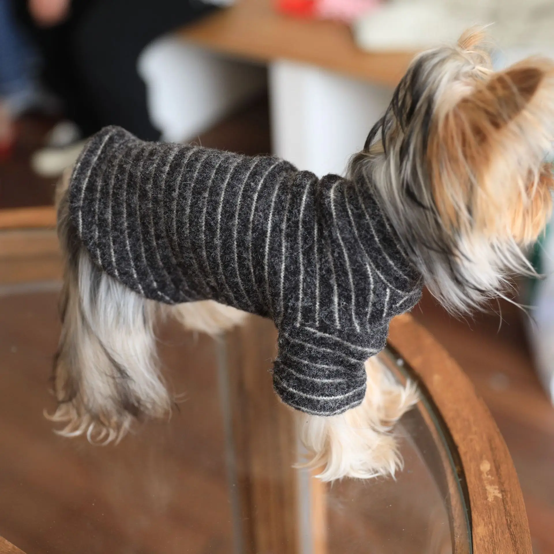 Camiseta invernal gruesa de rayas negras para perro Yorkshire - imagen 2