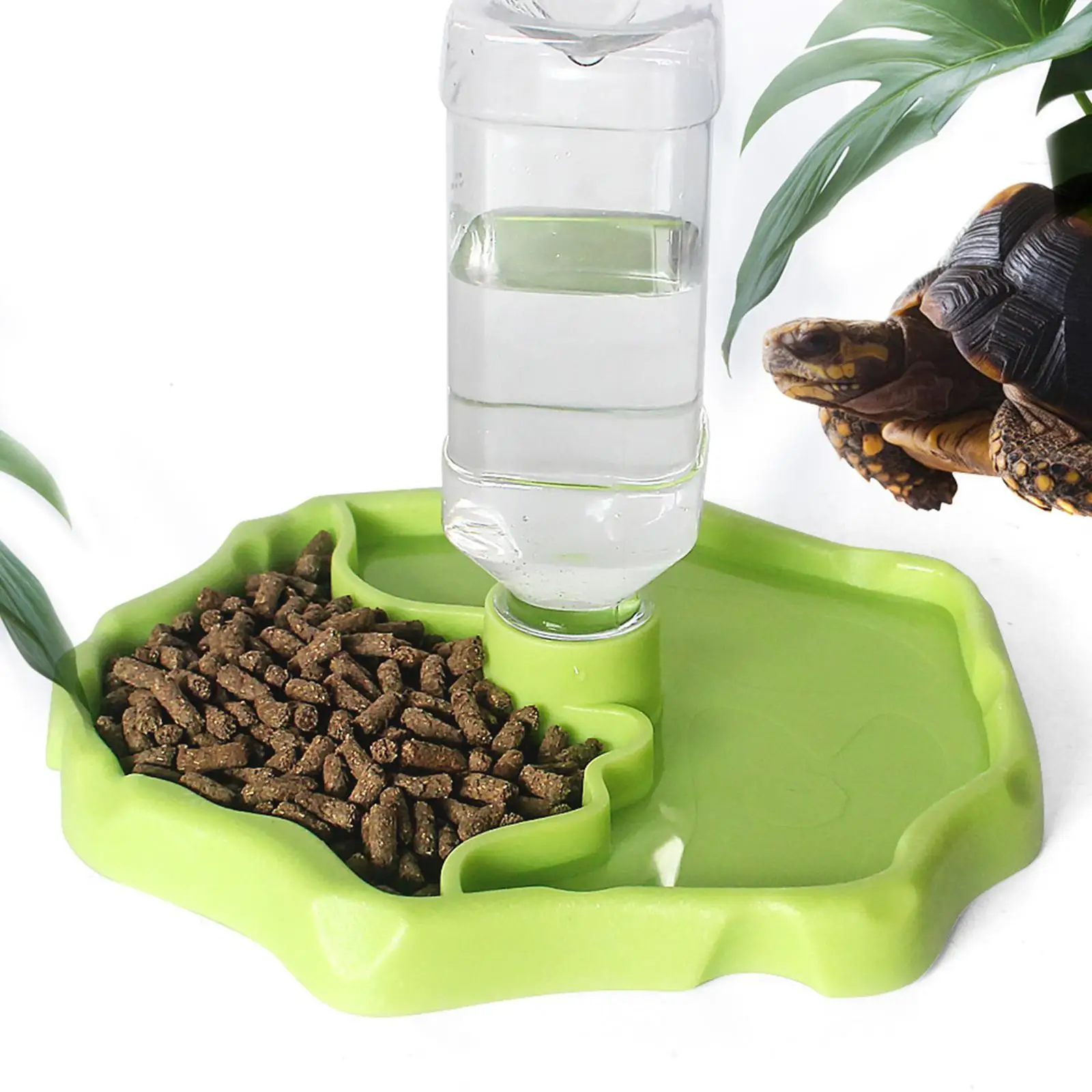 Reptile Feeder Reptile Food Dish Multifunctional Tank and Aquarium Accessories