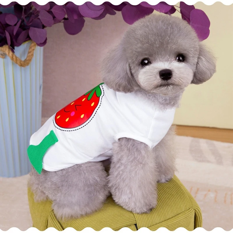 Divertido chaleco de verano para perros y mascotas, sudadera ligera Unisex con dibujos de patatas fritas y gatos, ropa para cachorros pequeños, Chihuahua - imagen 3