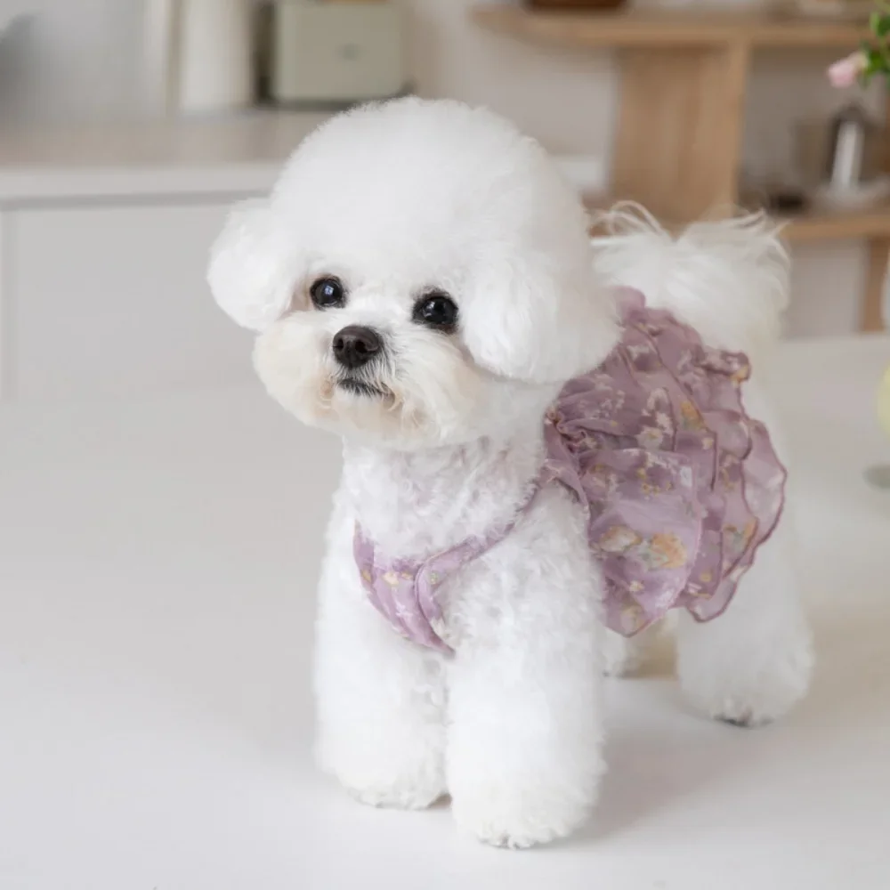 Dog Poached Skirt Chiffon Cake Dress Layered Skirt Pet Cat Dog Teddy Skirt INS Fashion Pet Clothing Puppy Clothes Dog Costume - imagen 4