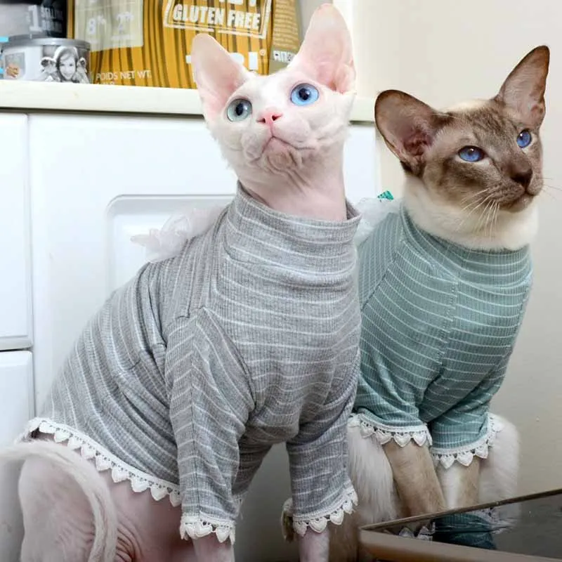 Ropa de gato para primavera y verano, sudadera a rayas de encaje, suéter, chaleco, previene el pelo largo, Disfraces para perros pequeños, sudaderas con capucha - imagen 2