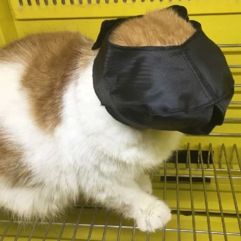 Mascarilla para ojos de Gato para mascotas, limpieza de baño para gatos, suministros de corte de uñas, emociones relajantes quirúrgicas, accesorios para gatos - imagen 4