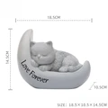 Cats Style