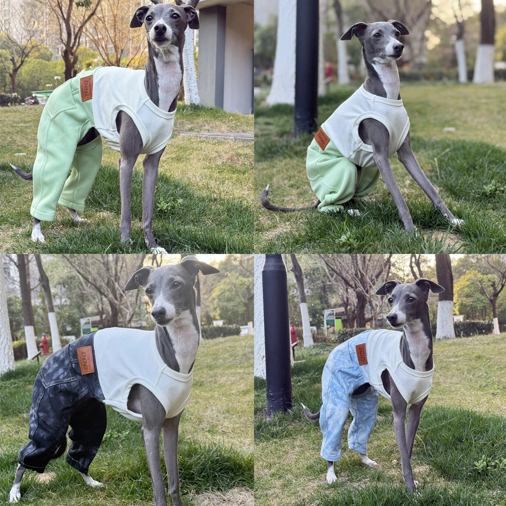 Ropa de moda para perros Whippet, mono vaquero de algodón de una pieza para primavera, camiseta, pantalones para disfraces de galgo italiano
