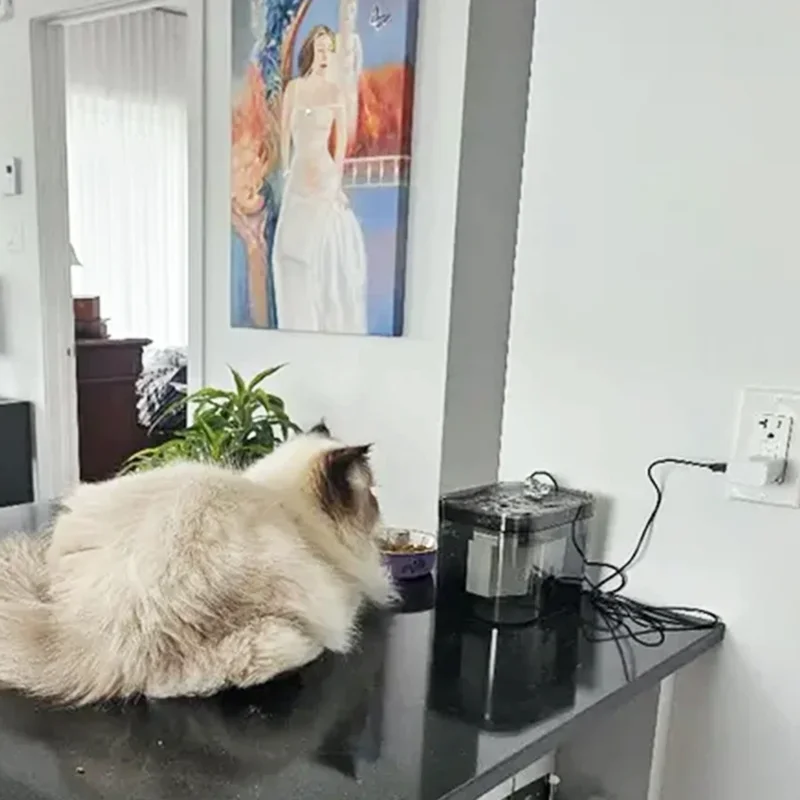 Fuente de agua para gatos, 1,5 l, transparente, negro, automático, USB, eléctrico, silencioso, dispensador de bebidas para mascotas, filtrado de recircular para gatos
