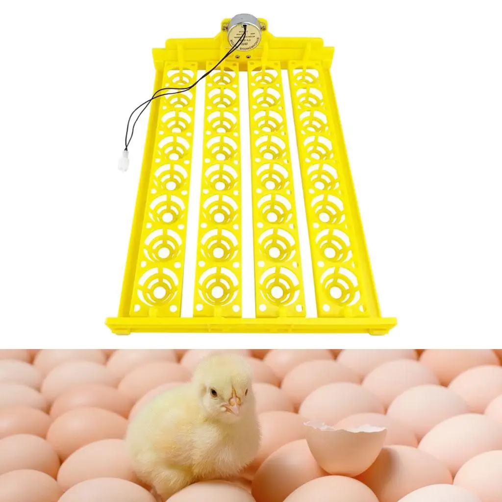 Egg Incubator Tray Automatic Turning Small er Household 220V 32 Eggs Tray for Bird Poultry Chick Duck Eggs Egg Incubator Tray Automatic Turning Small er Household 220V 32 Eggs Tray for Bird Poultry Chick Duck Eggs