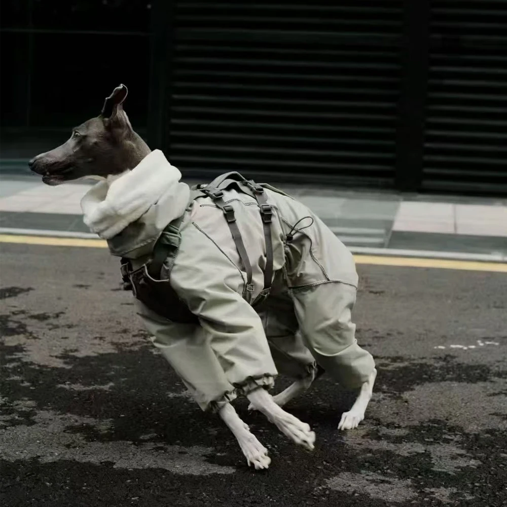 Abrigo reflectante para Whippets y perros pequeños – Cálido e impermeable - imagen 5