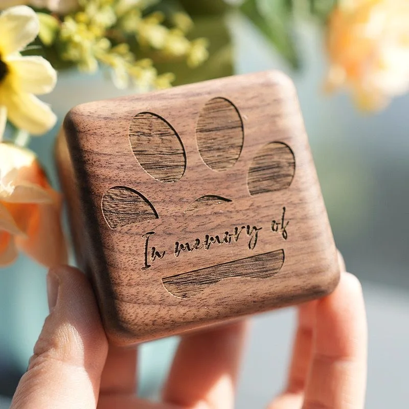 Urna conmemorativa de pelo Fetal para perros y gatos, caja conmemorativa para preservación de uñas y dientes, botella de almacenamiento para cenizas de gatos, recuerdo de cremación