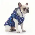 blue and white dots