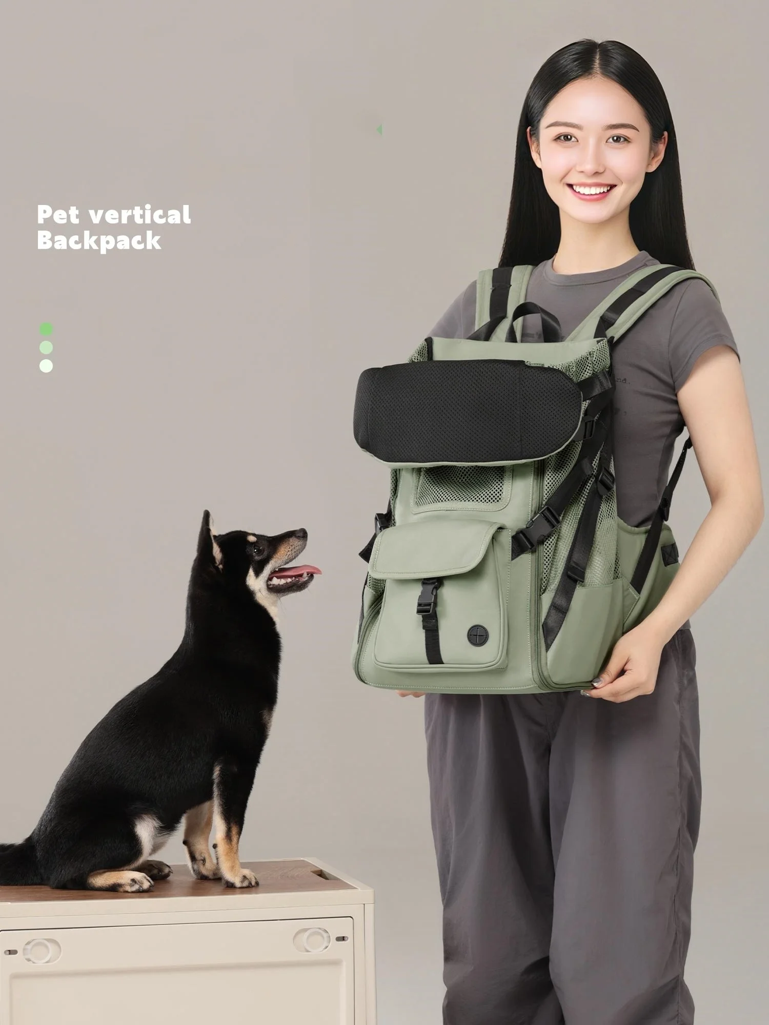 Mochila vertical para mascotas, mochila para senderismo al aire libre para perros de gran capacidad, bolsa impermeable para el pecho para perros, bolsa transportadora transpirable para mascotas - imagen 2